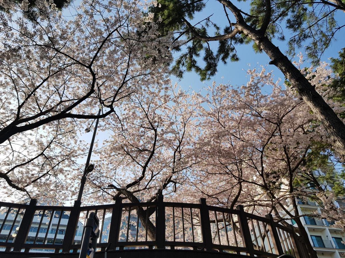 Suntree Hotel Busan Dış mekan fotoğraf