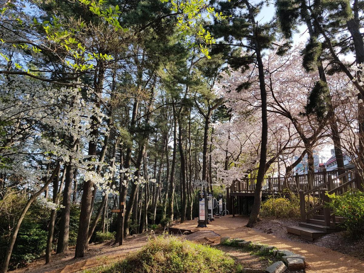 Suntree Hotel Busan Dış mekan fotoğraf